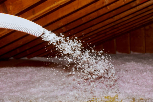 Best Crawl Space Insulation  in Jarrettsville, MD