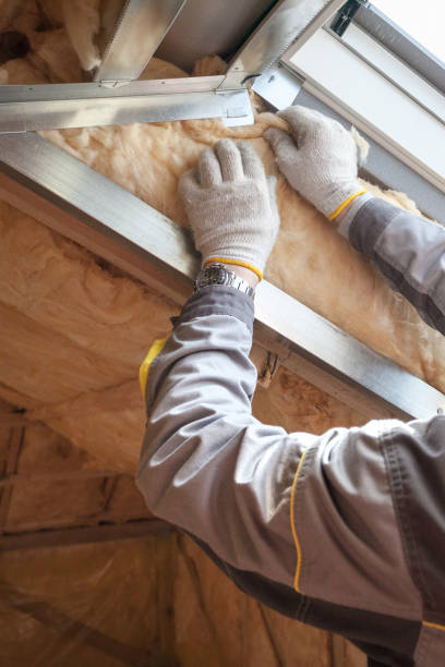 Best Insulation Removal  in Jarrettsville, MD